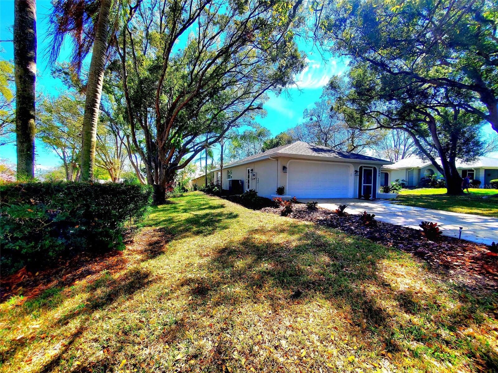 3464 SUTHERLAND DR, PALM HARBOR, FL, 34684