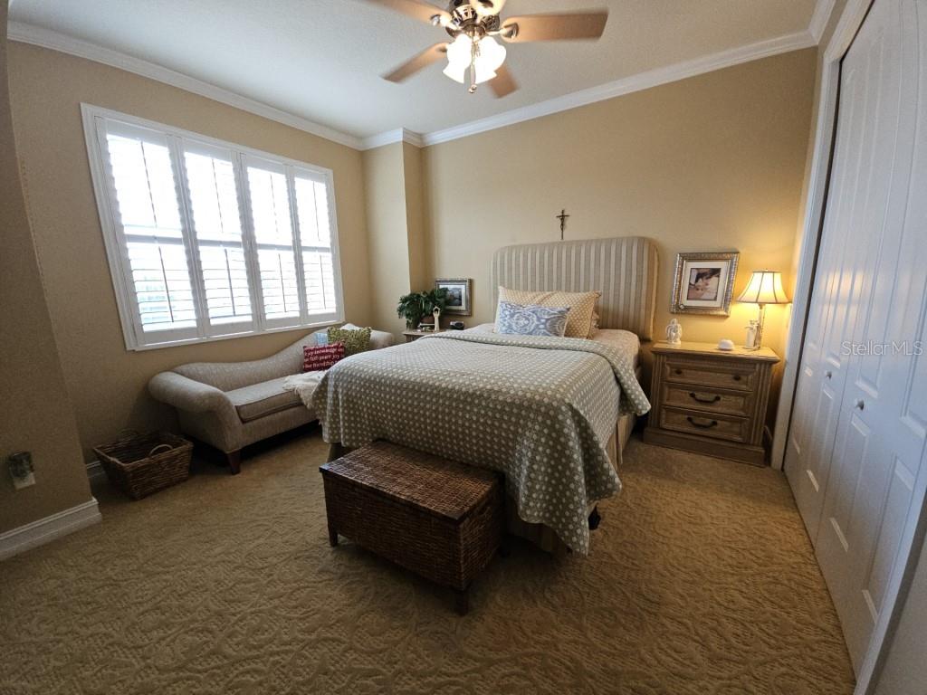 4115 COURTSIDE WAY, TAMPA, FL, 33618