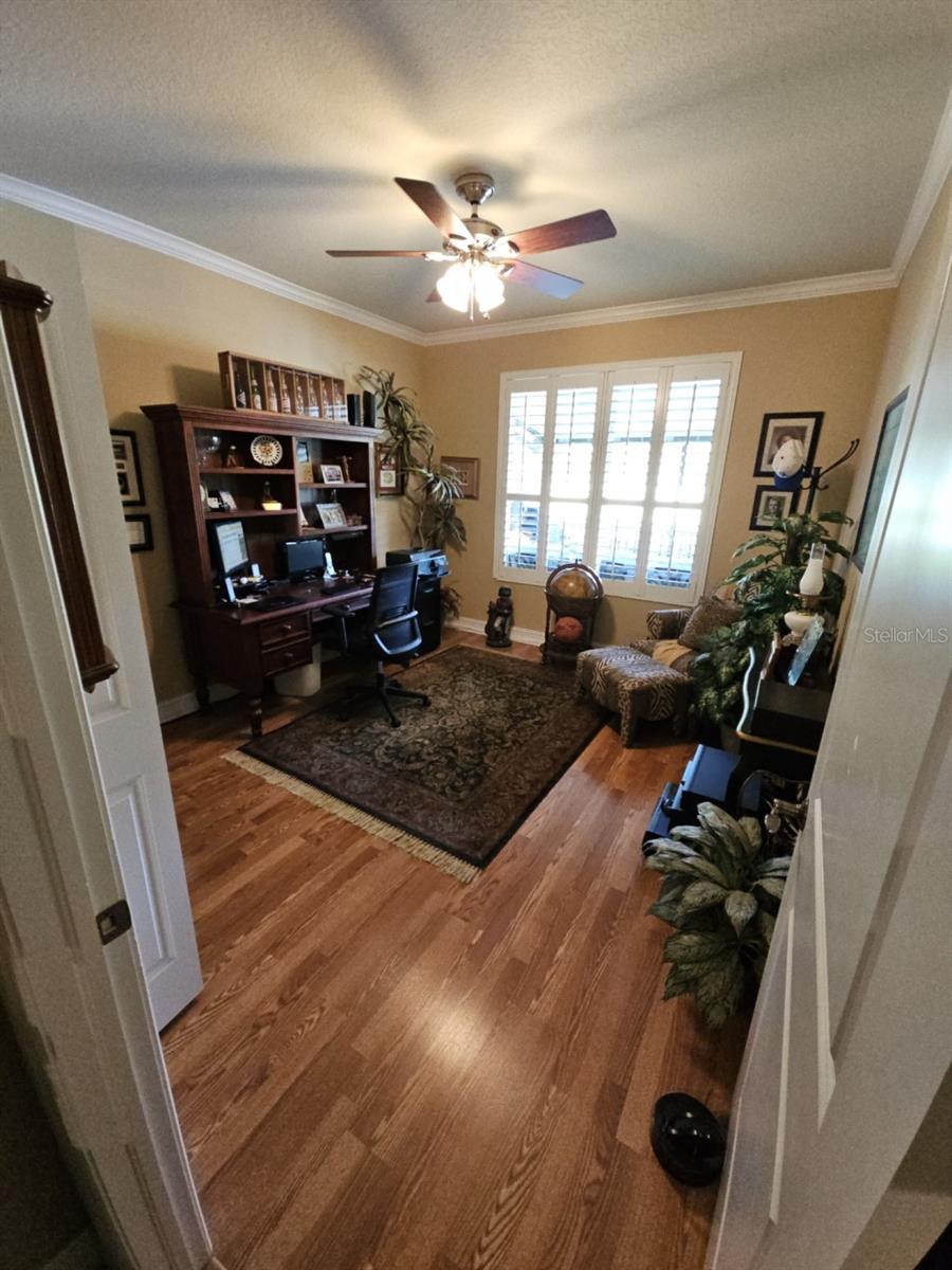 4115 COURTSIDE WAY, TAMPA, FL, 33618