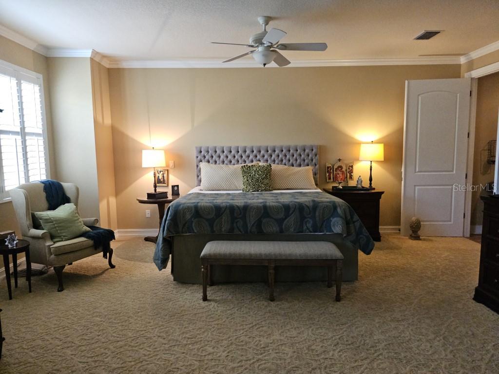 4115 COURTSIDE WAY, TAMPA, FL, 33618