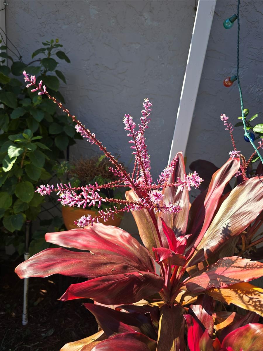 2424 SW 20TH CT, OCALA, FL, 34471