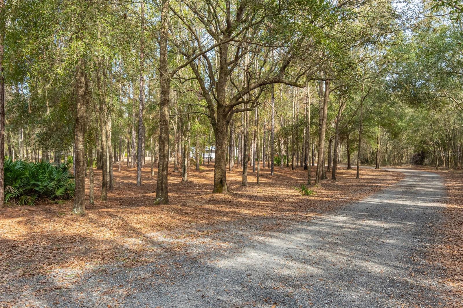 399 NW EVERETT TER, WHITE SPRINGS, FL, 32096