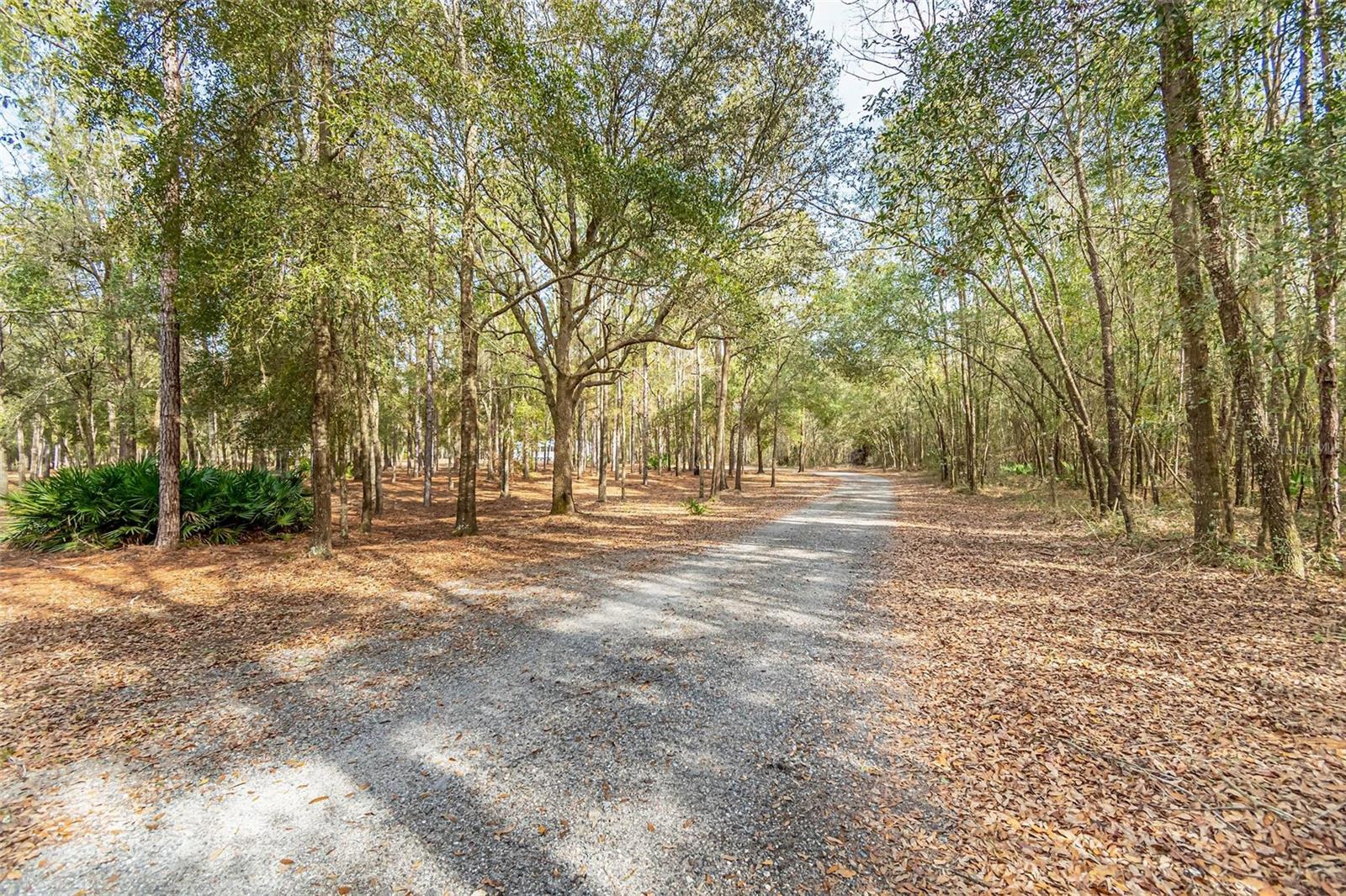 399 NW EVERETT TER, WHITE SPRINGS, FL, 32096
