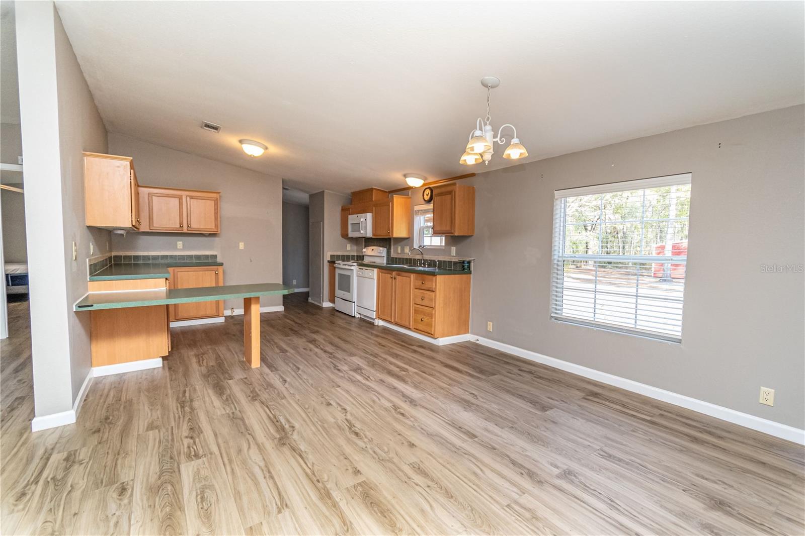 399 NW EVERETT TER, WHITE SPRINGS, FL, 32096