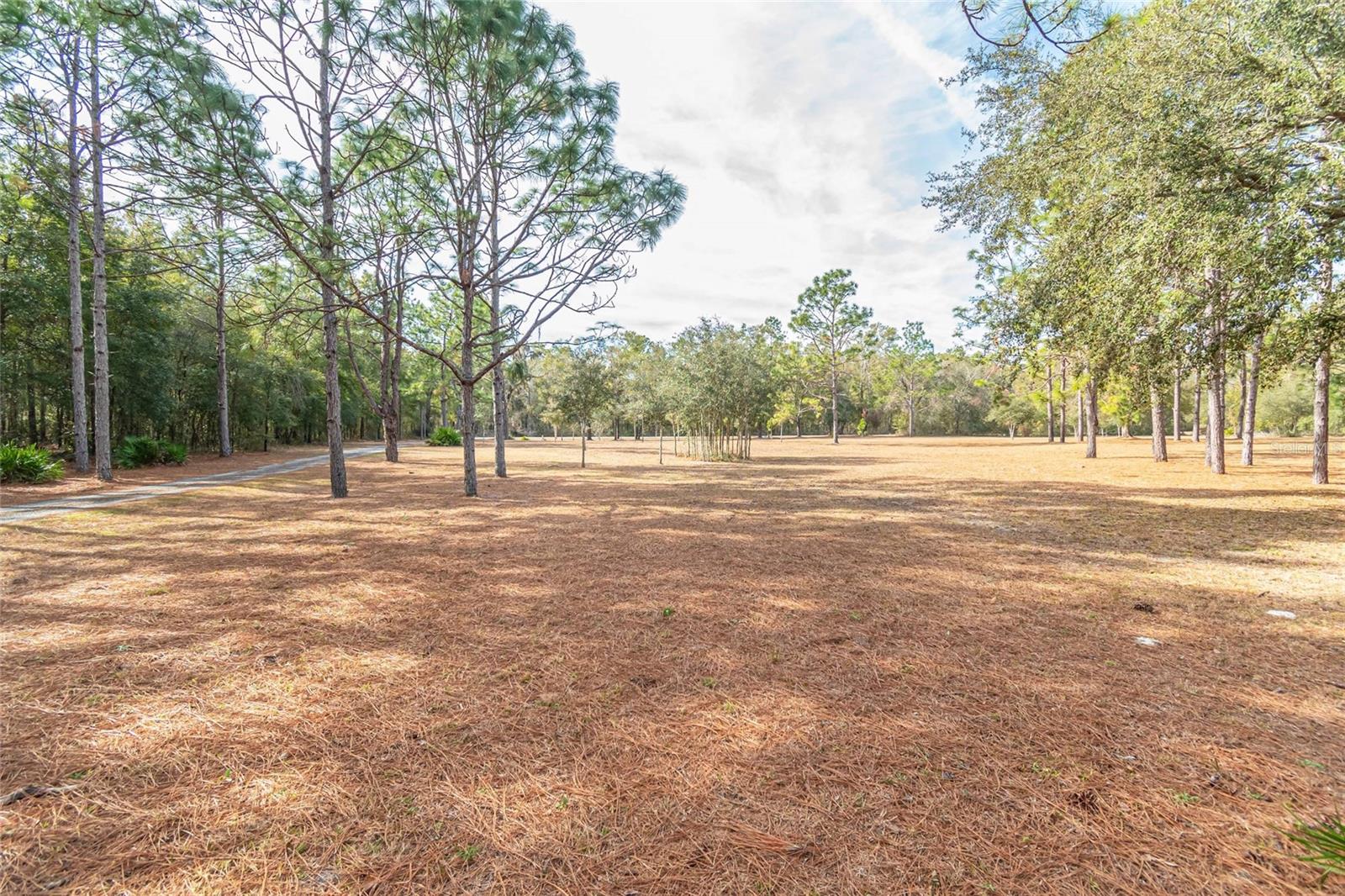 399 NW EVERETT TER, WHITE SPRINGS, FL, 32096