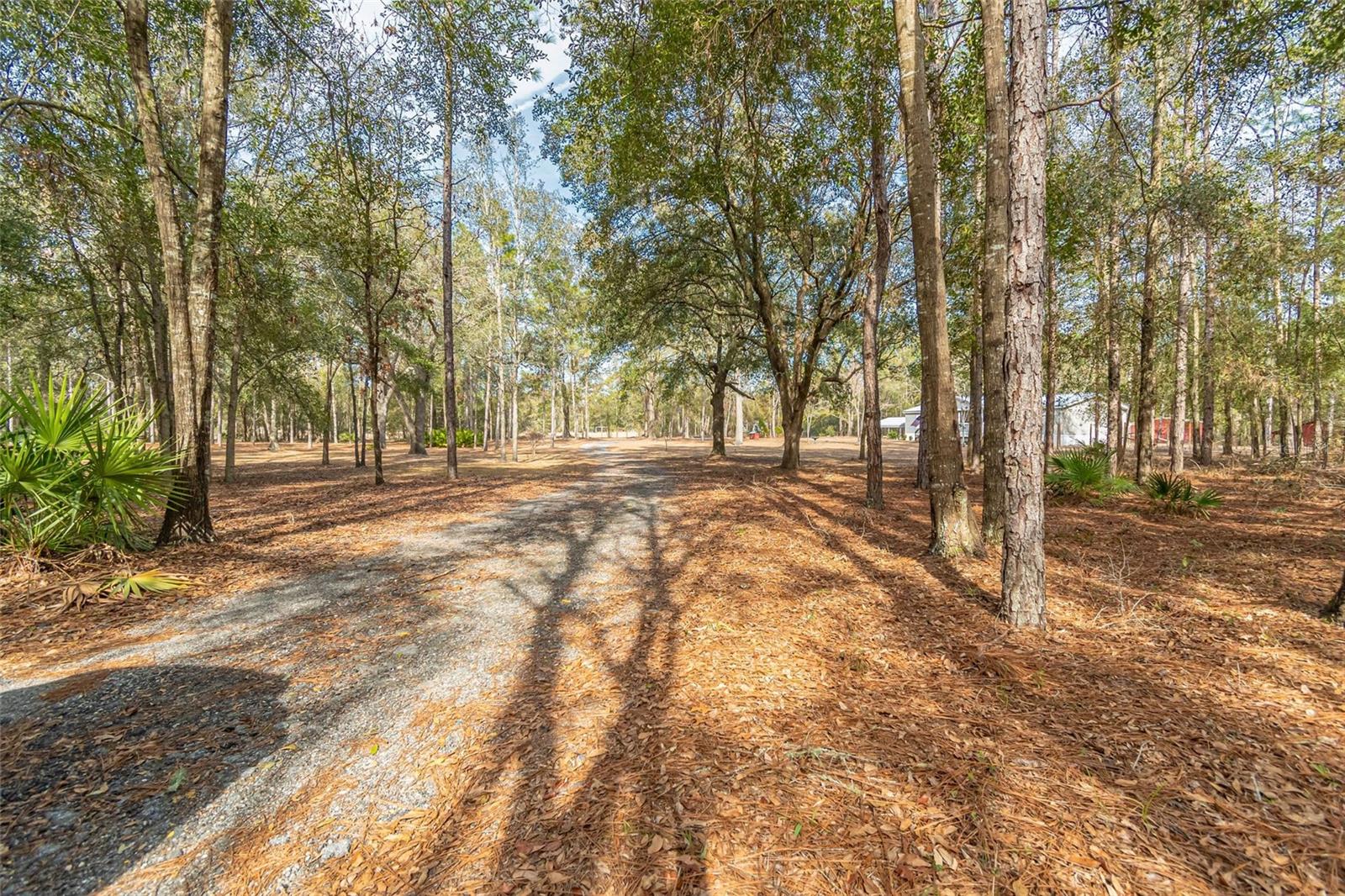 399 NW EVERETT TER, WHITE SPRINGS, FL, 32096