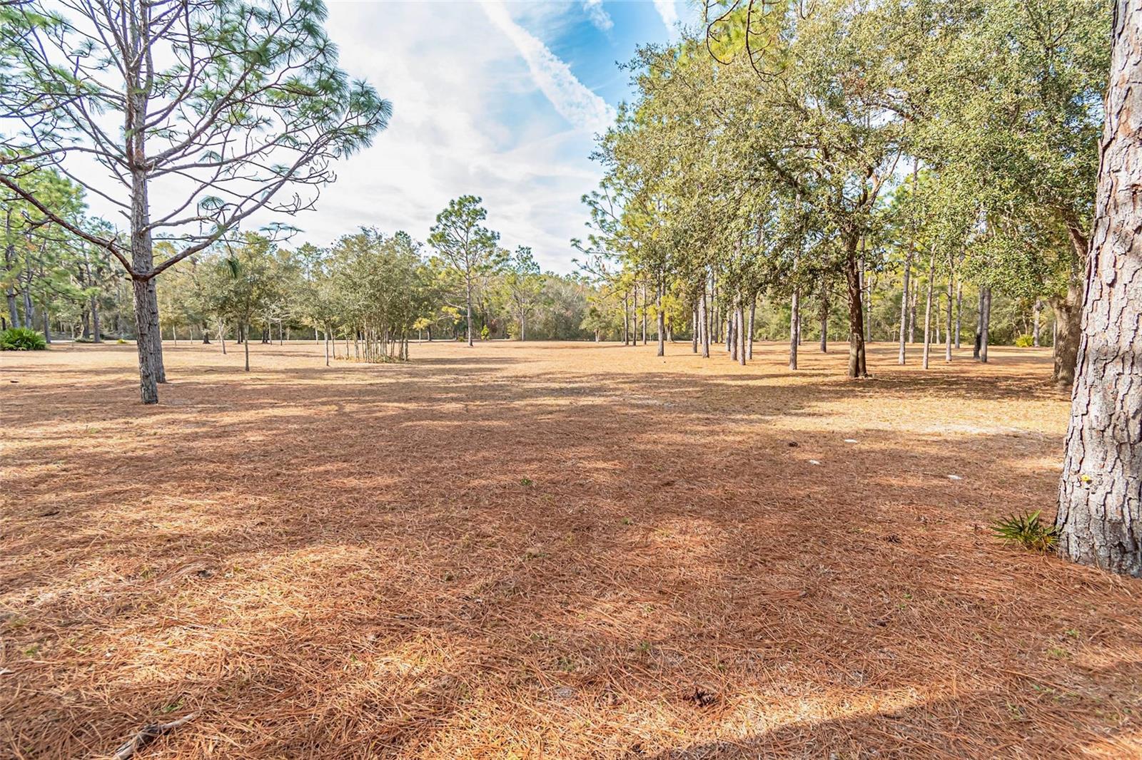 399 NW EVERETT TER, WHITE SPRINGS, FL, 32096