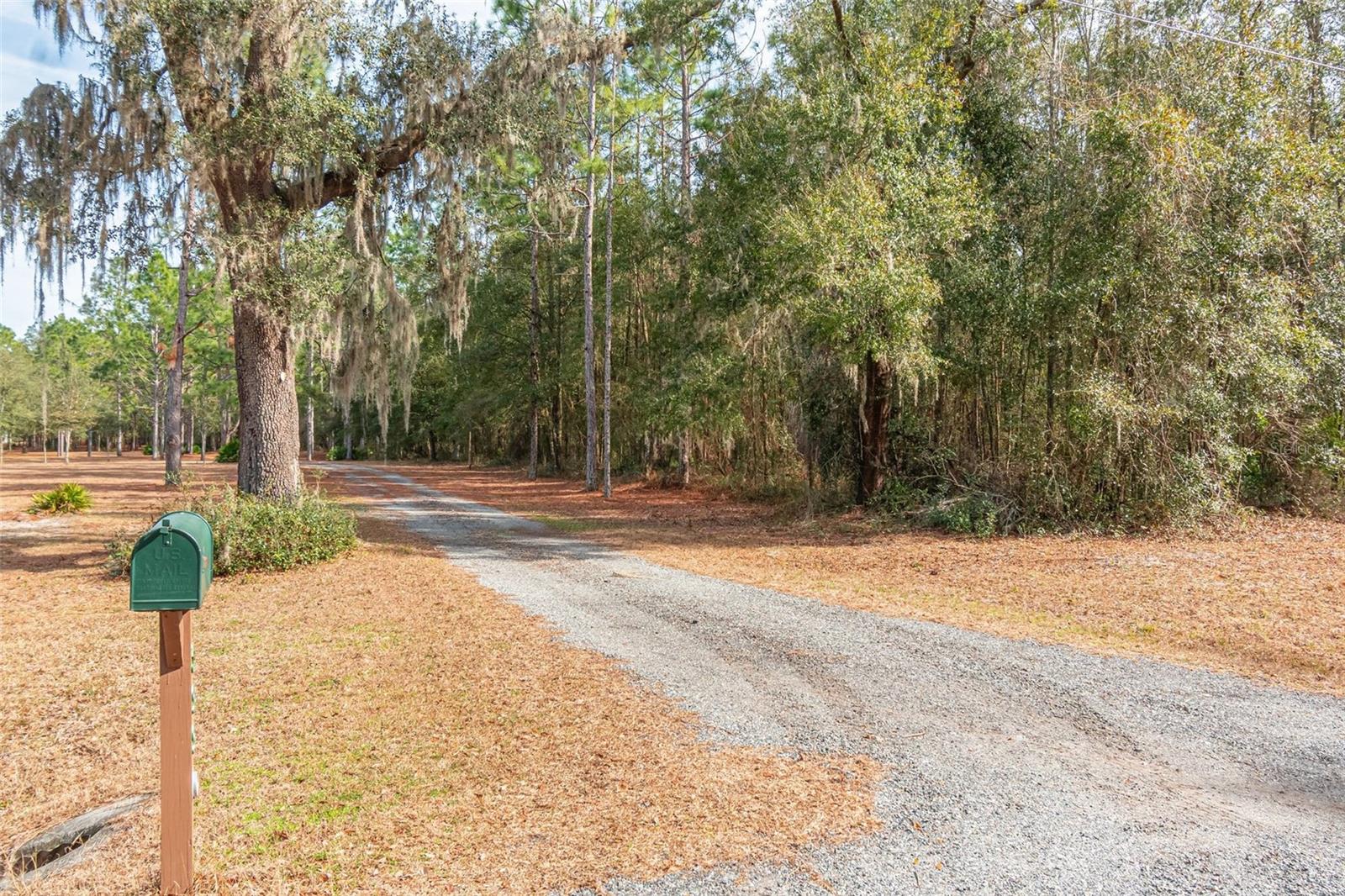 399 NW EVERETT TER, WHITE SPRINGS, FL, 32096
