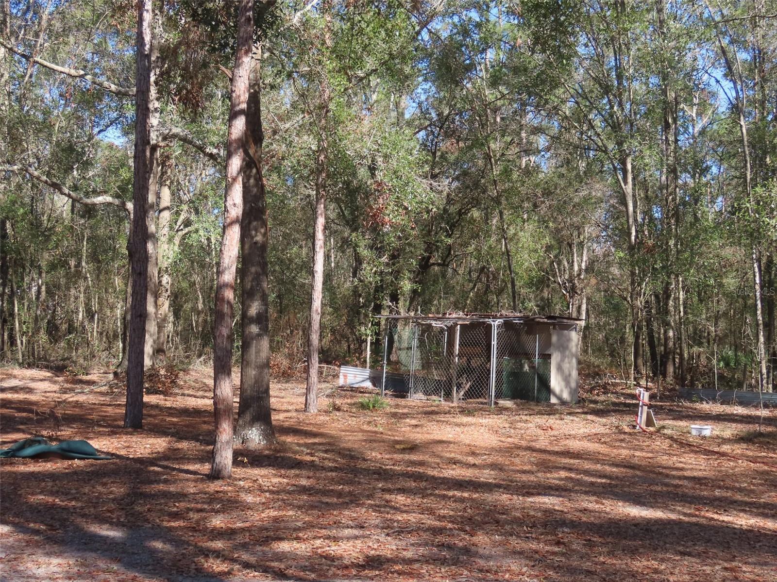 399 NW EVERETT TER, WHITE SPRINGS, FL, 32096