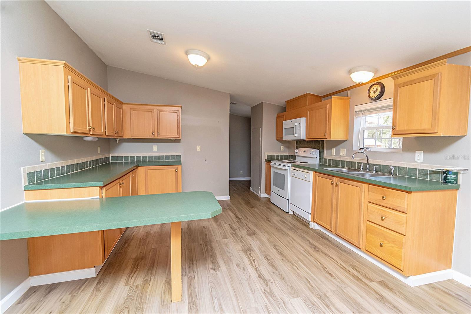 399 NW EVERETT TER, WHITE SPRINGS, FL, 32096