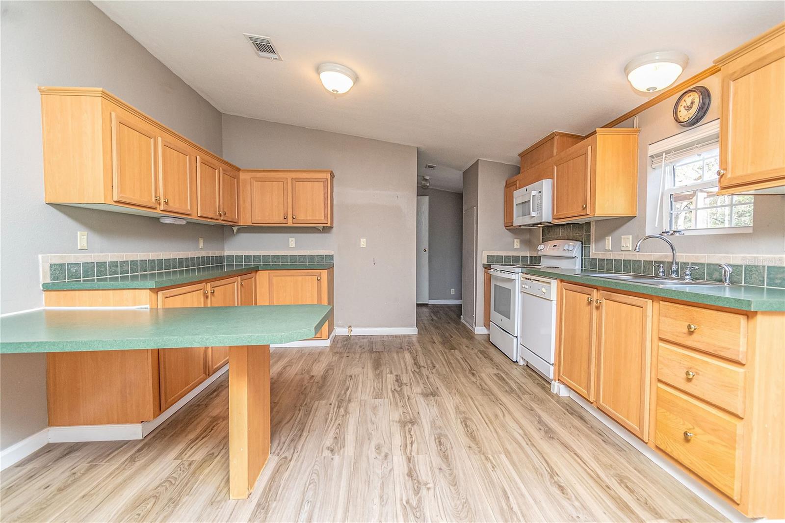 399 NW EVERETT TER, WHITE SPRINGS, FL, 32096