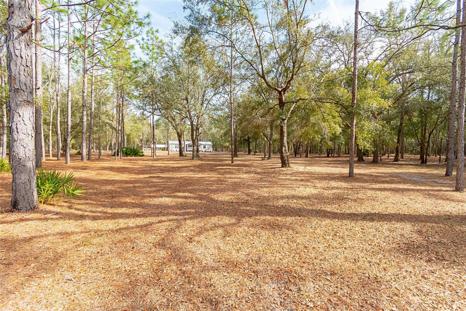 399 NW EVERETT TER, WHITE SPRINGS, FL, 32096