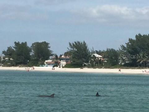 7820 MIDNIGHT PASS RD, SARASOTA, FL, 34242