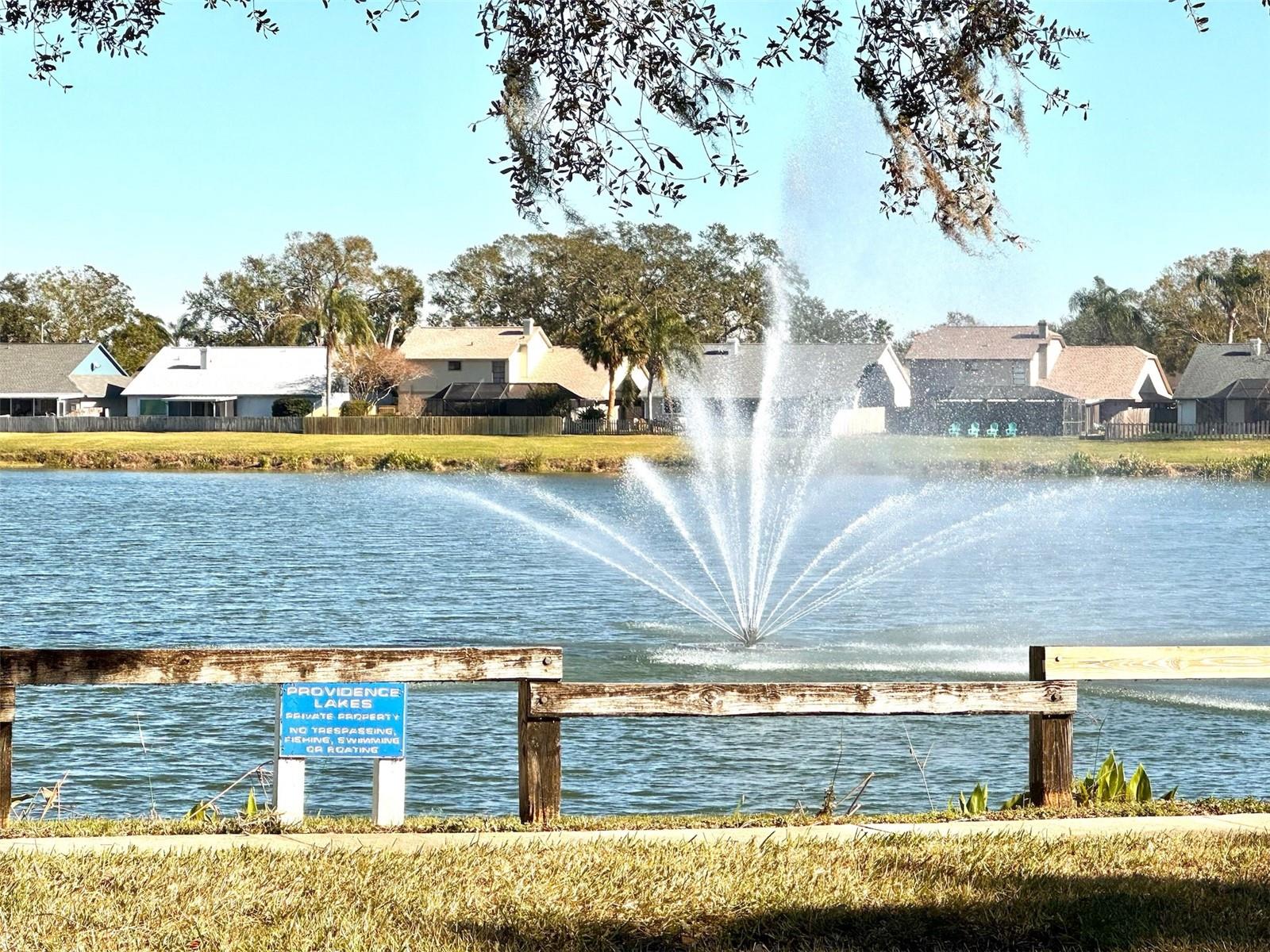 2041 SHADOW PINE DR, BRANDON, FL, 33511