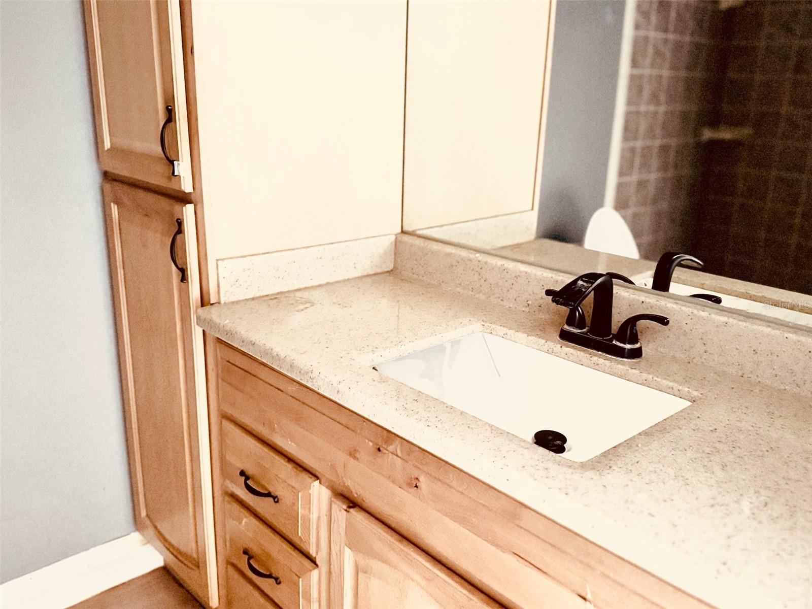 2041 SHADOW PINE DR, BRANDON, FL, 33511