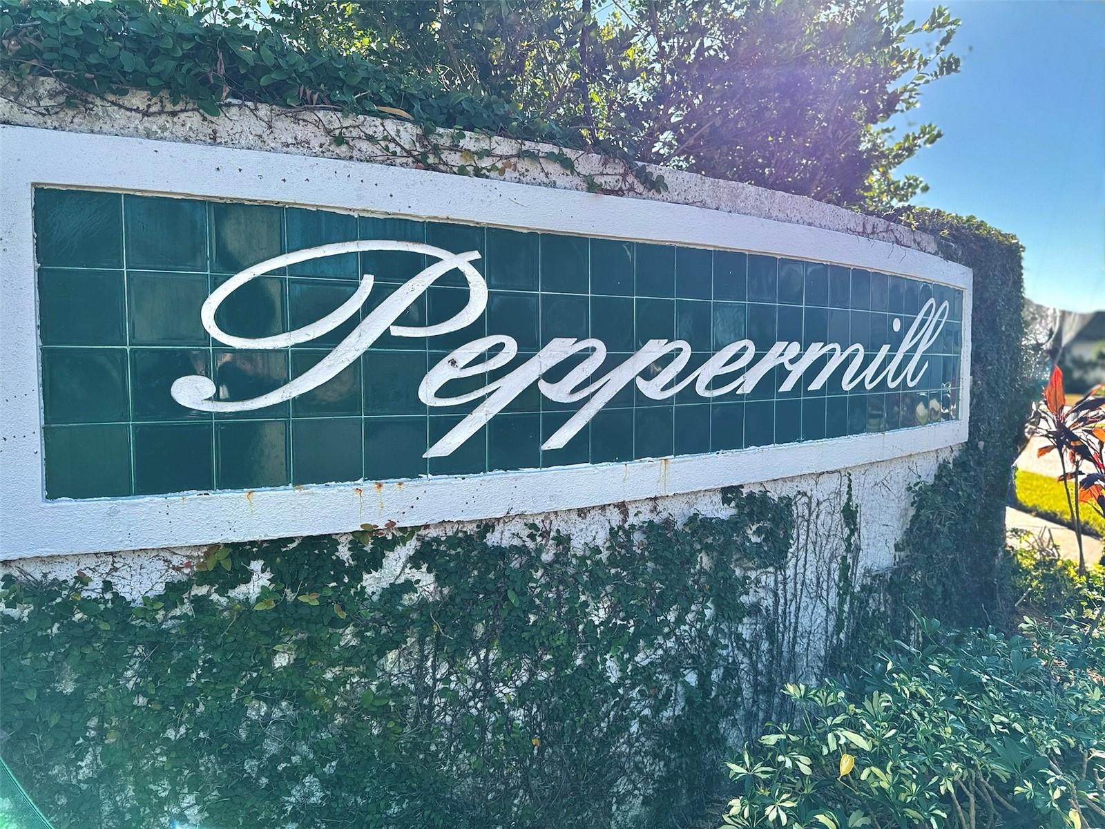 2041 SHADOW PINE DR, BRANDON, FL, 33511