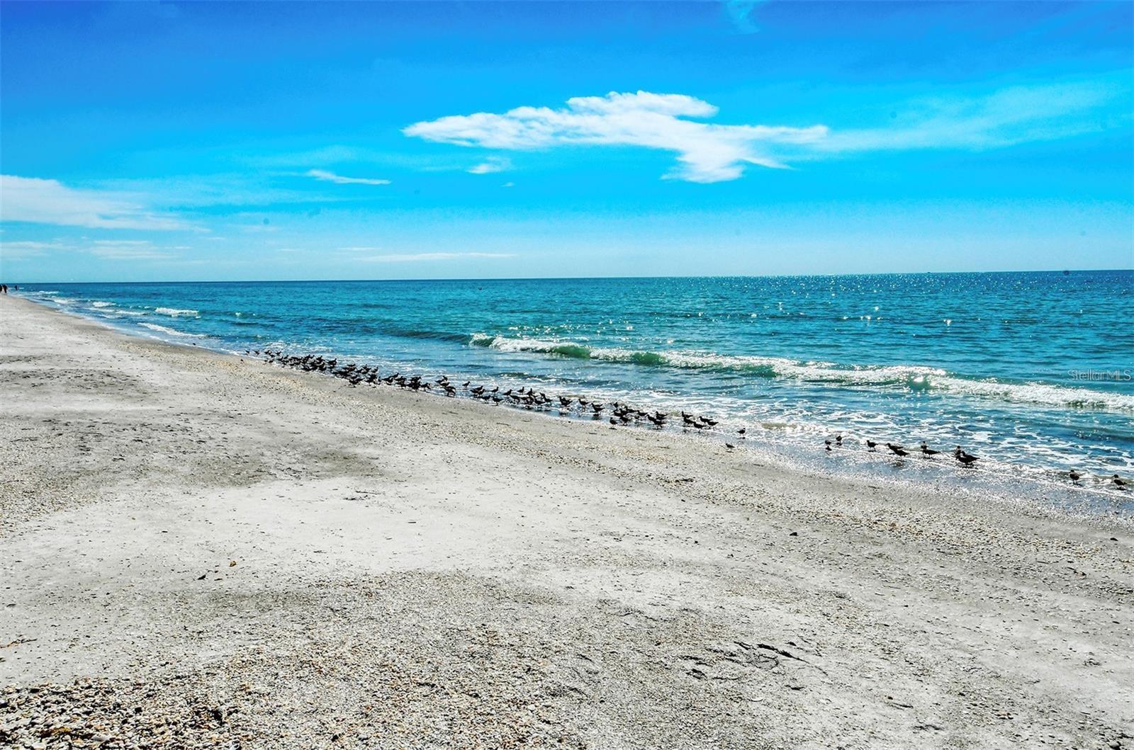 569 ROUNTREE DR, LONGBOAT KEY, FL, 34228