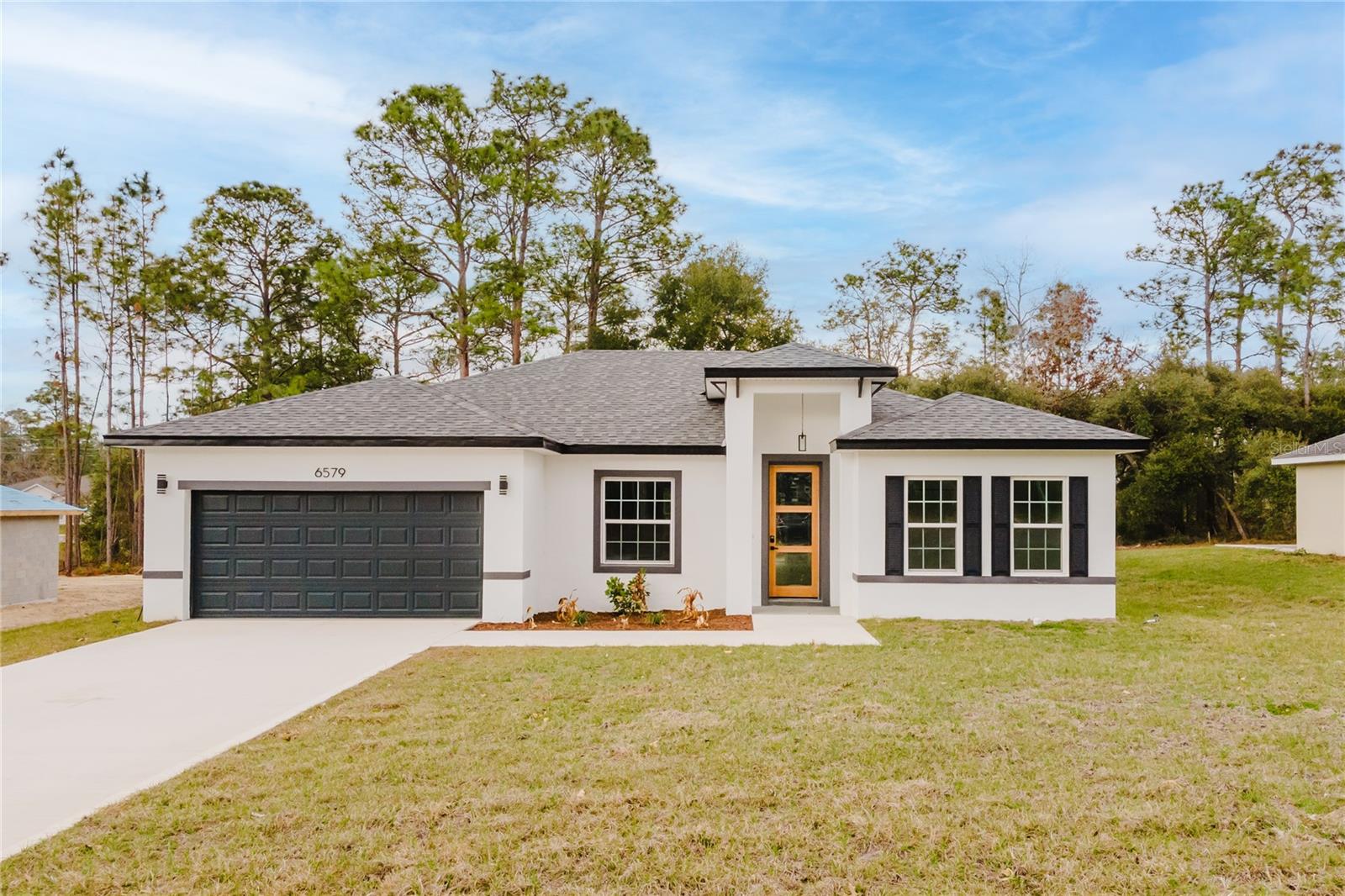 6579 SW 132ND ST, OCALA, FL, 34473