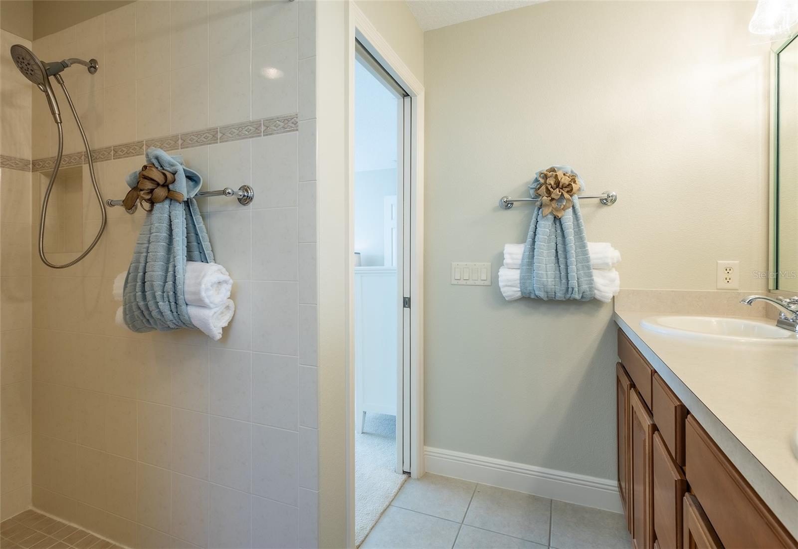 670 MURPHYS ESTATE DR, THE VILLAGES, FL, 32162