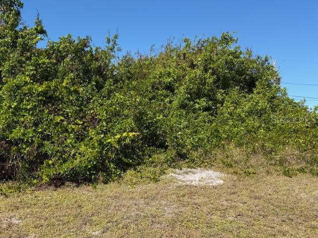 7361 BROOKHAVEN TER, ENGLEWOOD, FL, 34224