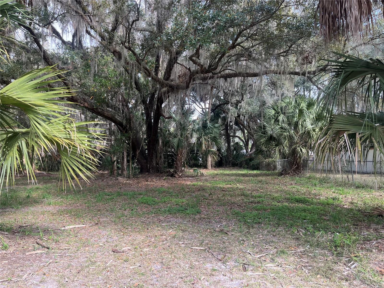 183RD AVE, HAWTHORNE, FL, 32640