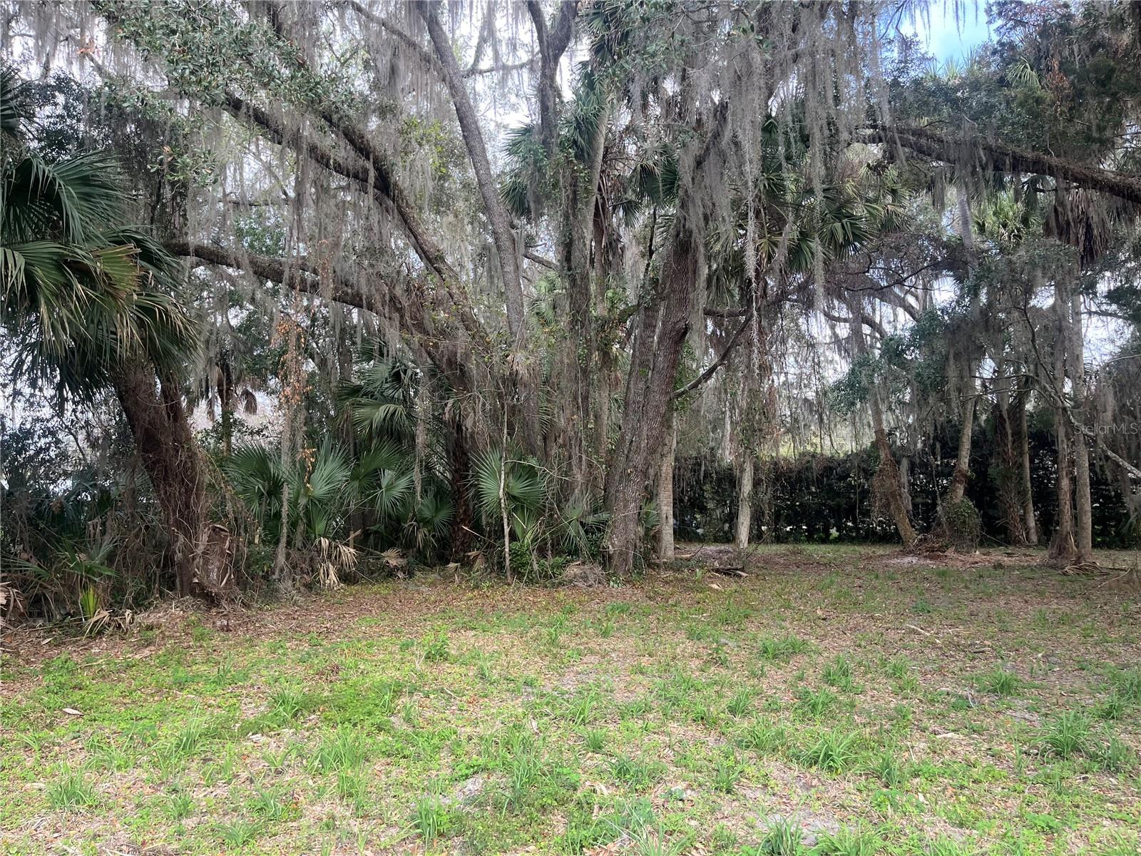 183RD AVE, HAWTHORNE, FL, 32640