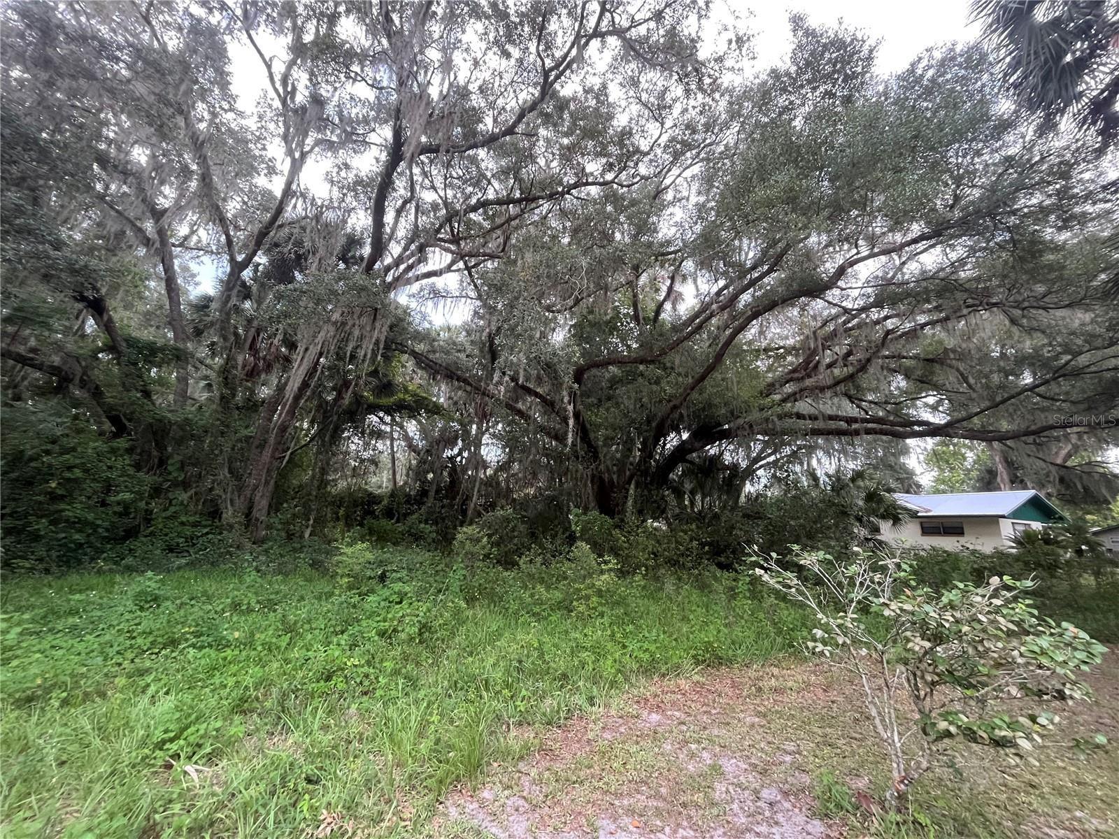 183RD AVE, HAWTHORNE, FL, 32640