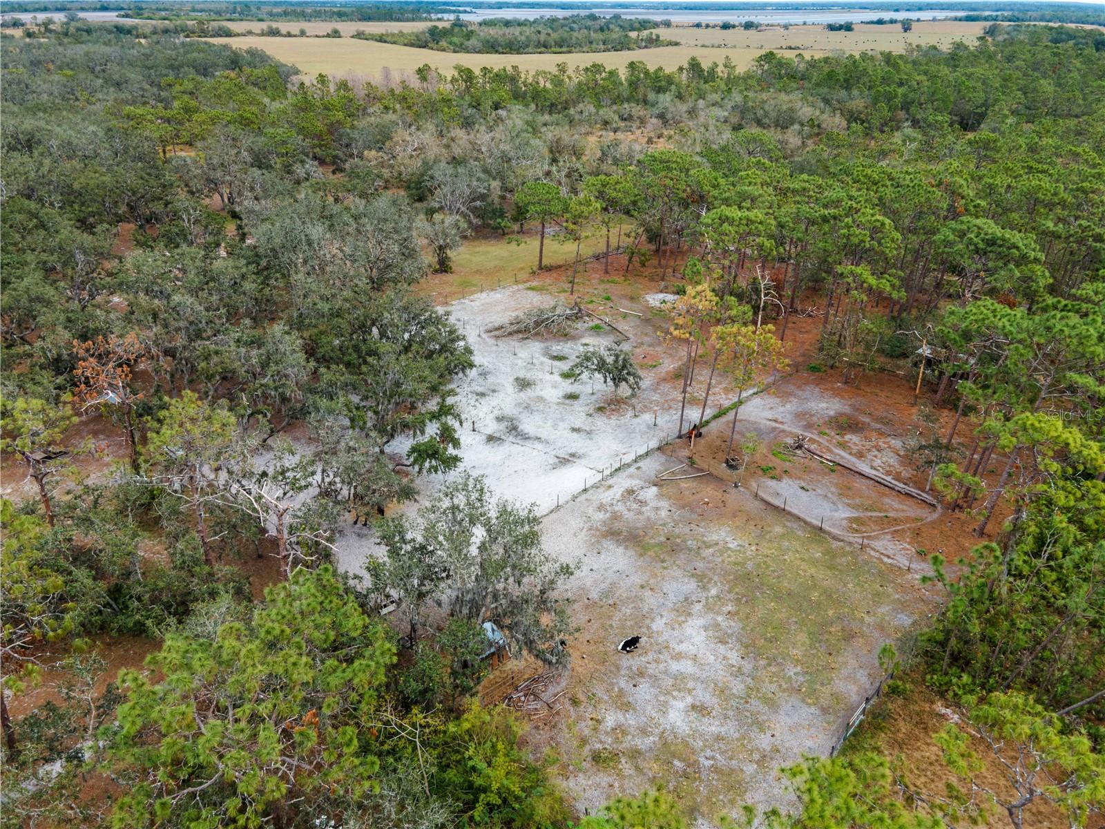 8107 HIGH OAKS TRL, MYAKKA CITY, FL, 34251