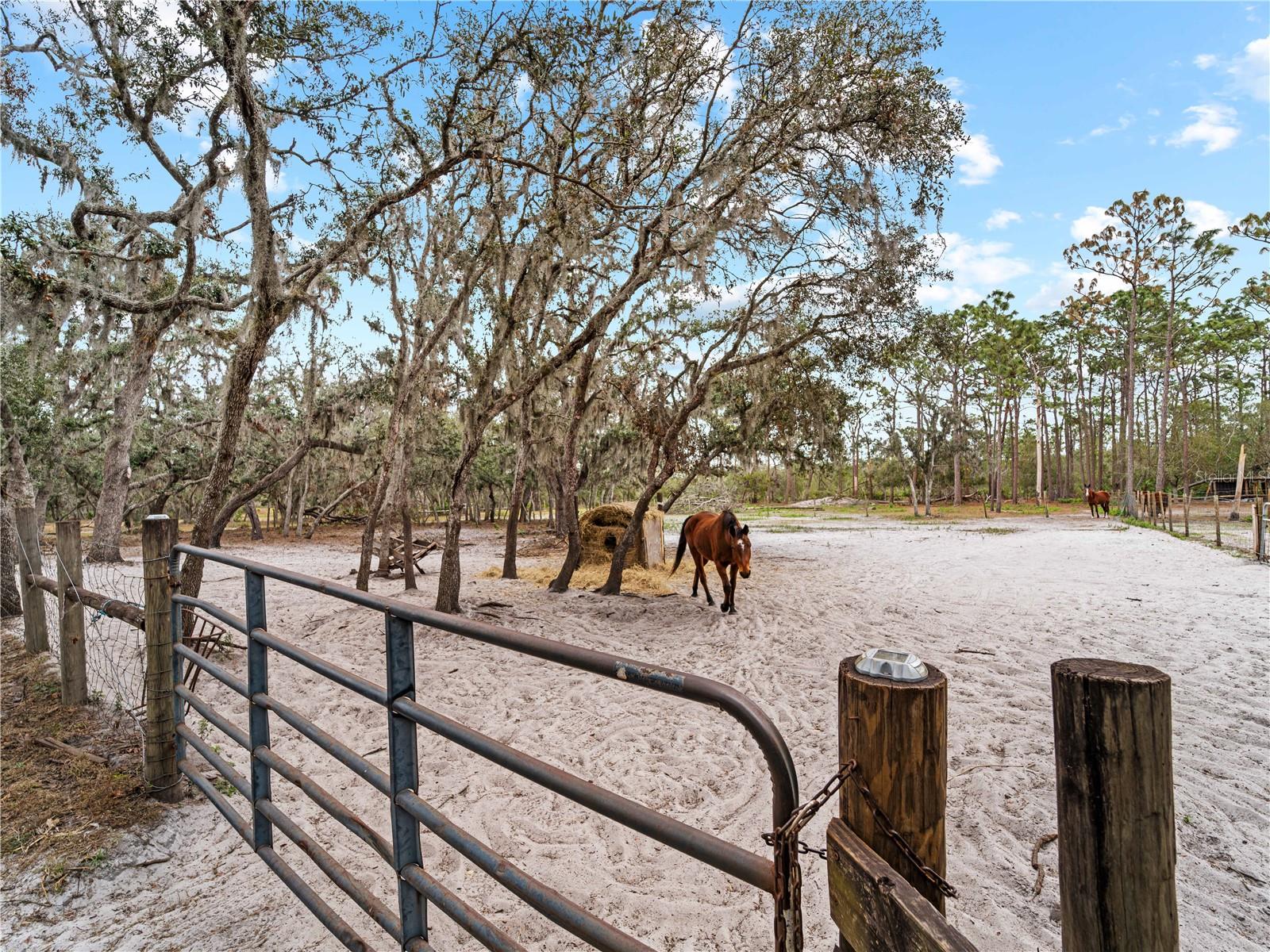 8107 HIGH OAKS TRL, MYAKKA CITY, FL, 34251
