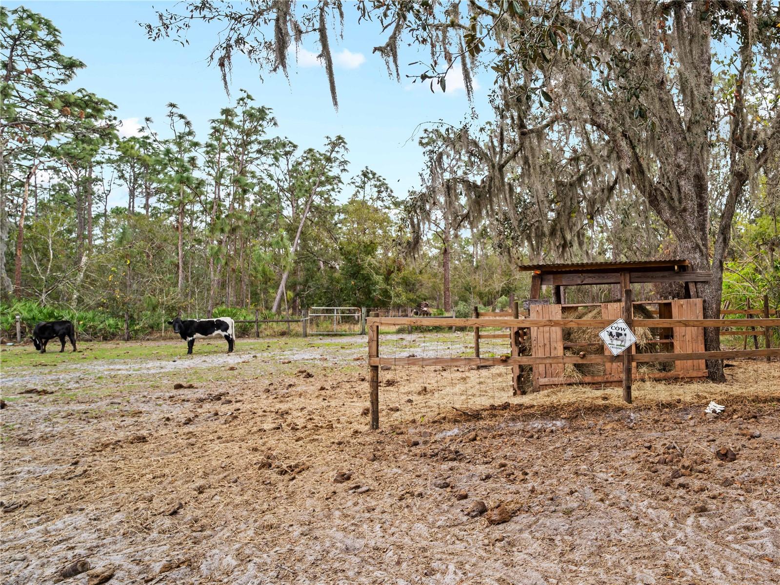 8107 HIGH OAKS TRL, MYAKKA CITY, FL, 34251