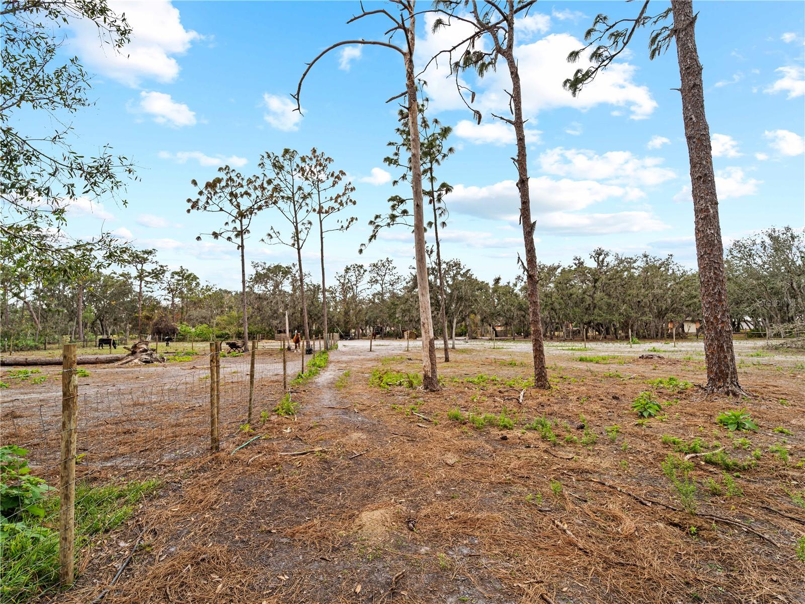 8107 HIGH OAKS TRL, MYAKKA CITY, FL, 34251