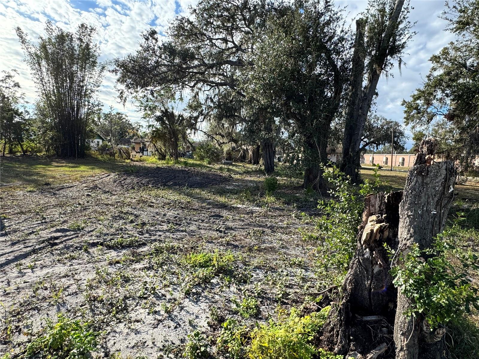 S CHARLESTON AVE, FORT MEADE, FL, 33841