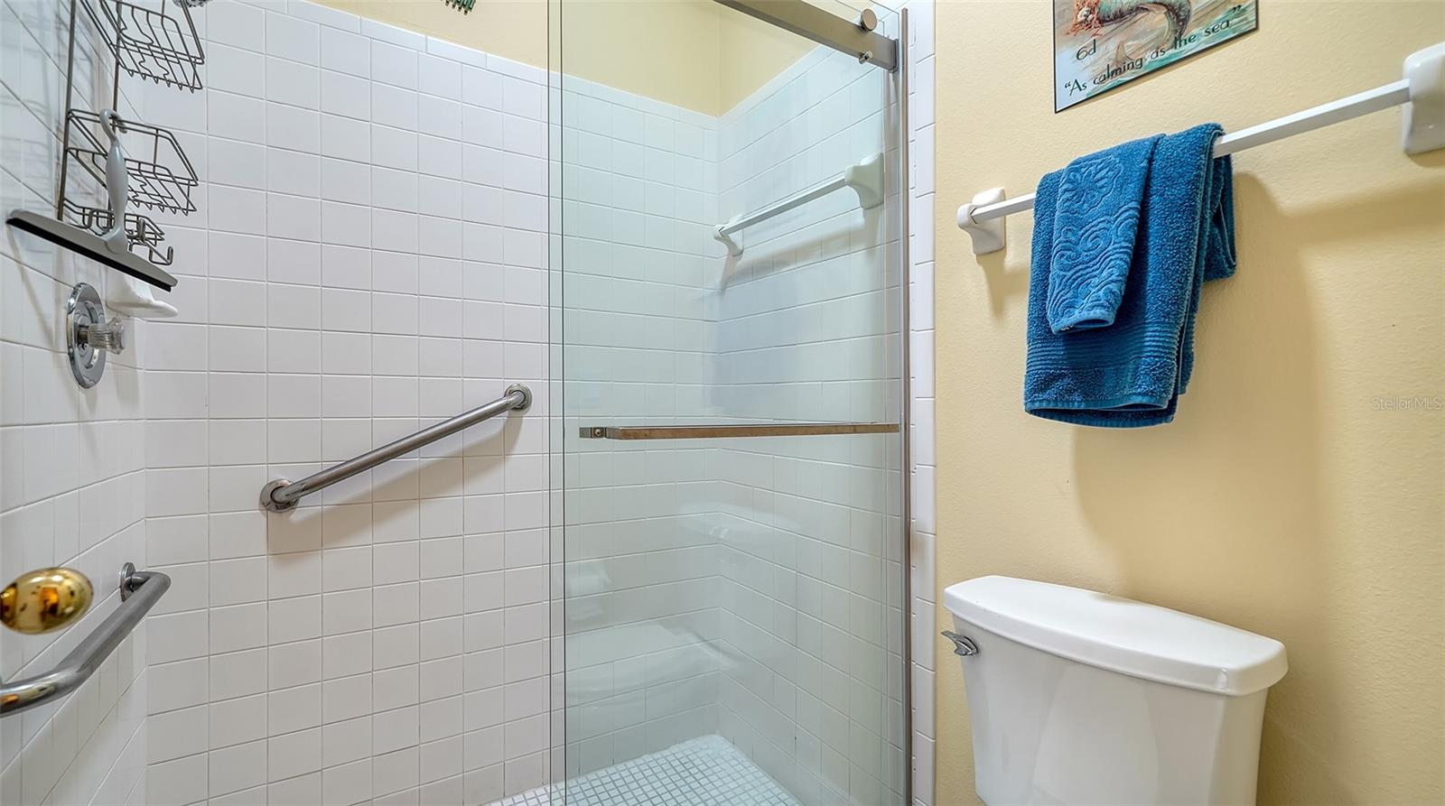 919 WATERSIDE LN, BRADENTON, FL, 34209