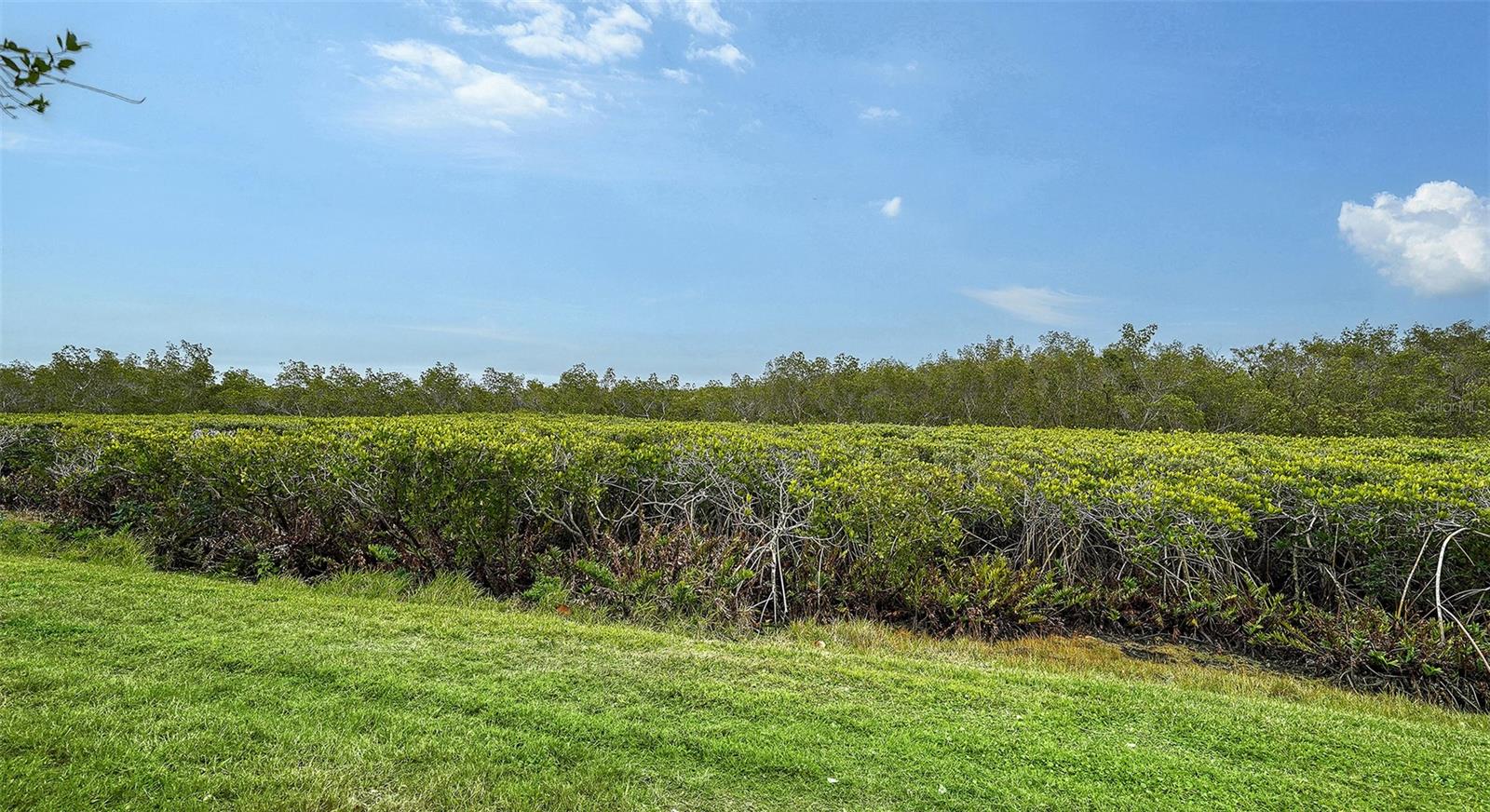 919 WATERSIDE LN, BRADENTON, FL, 34209