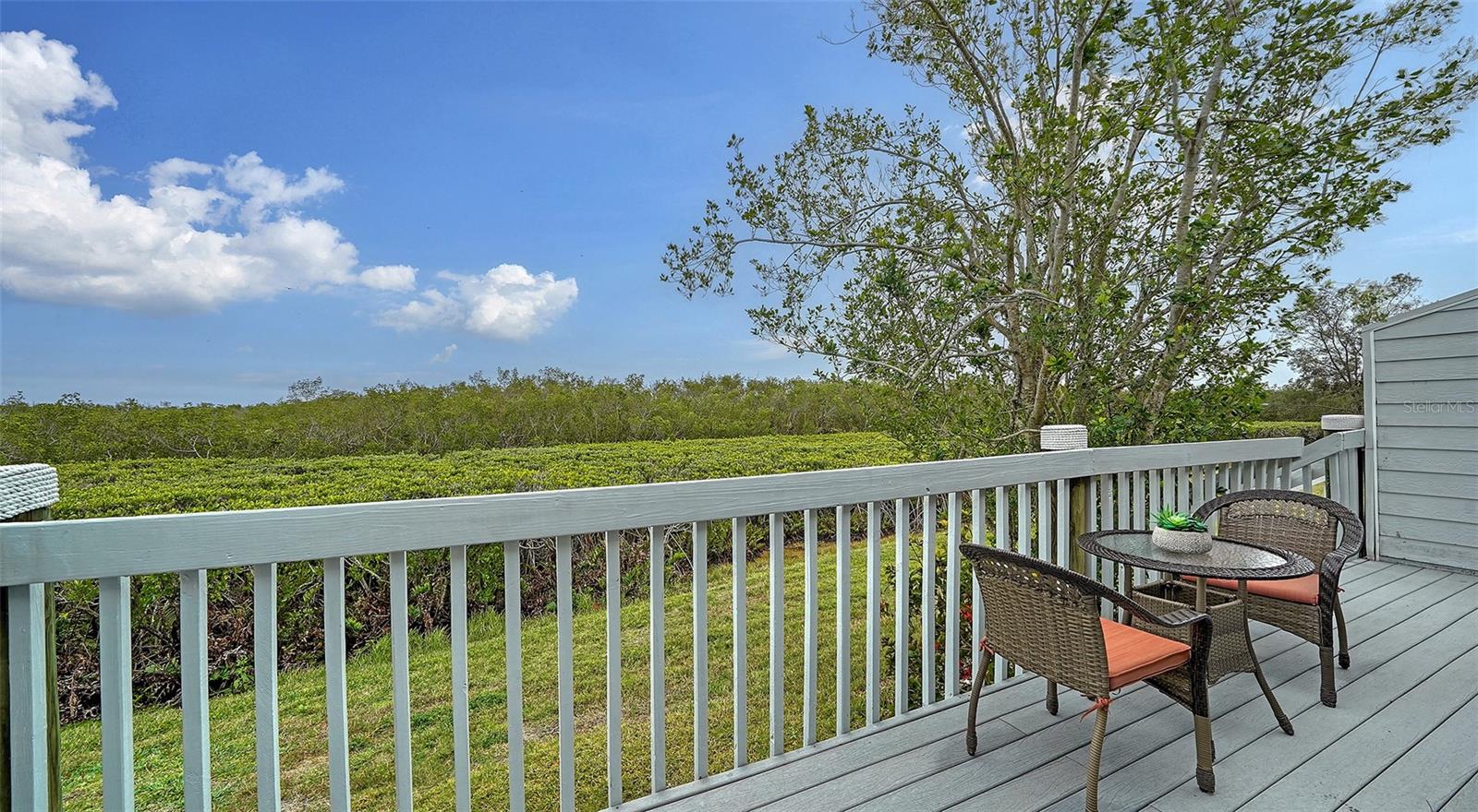 919 WATERSIDE LN, BRADENTON, FL, 34209