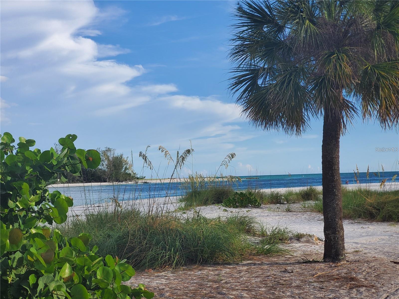 919 WATERSIDE LN, BRADENTON, FL, 34209