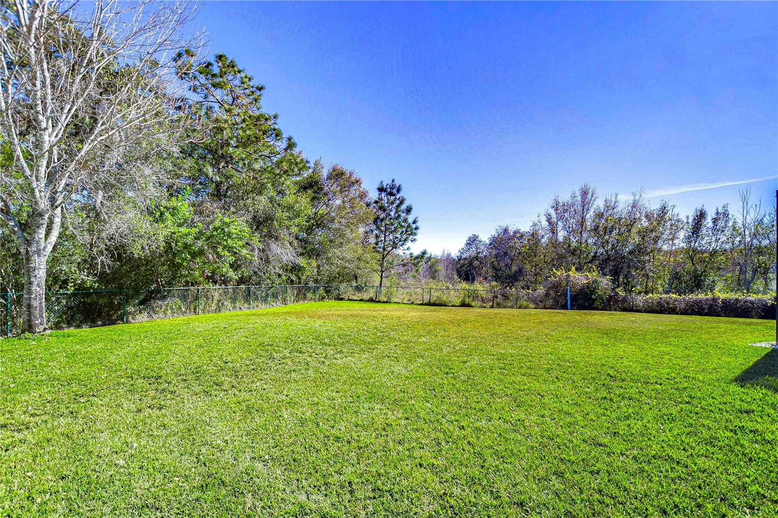 1005 KETZAL DR, TRINITY, FL, 34655