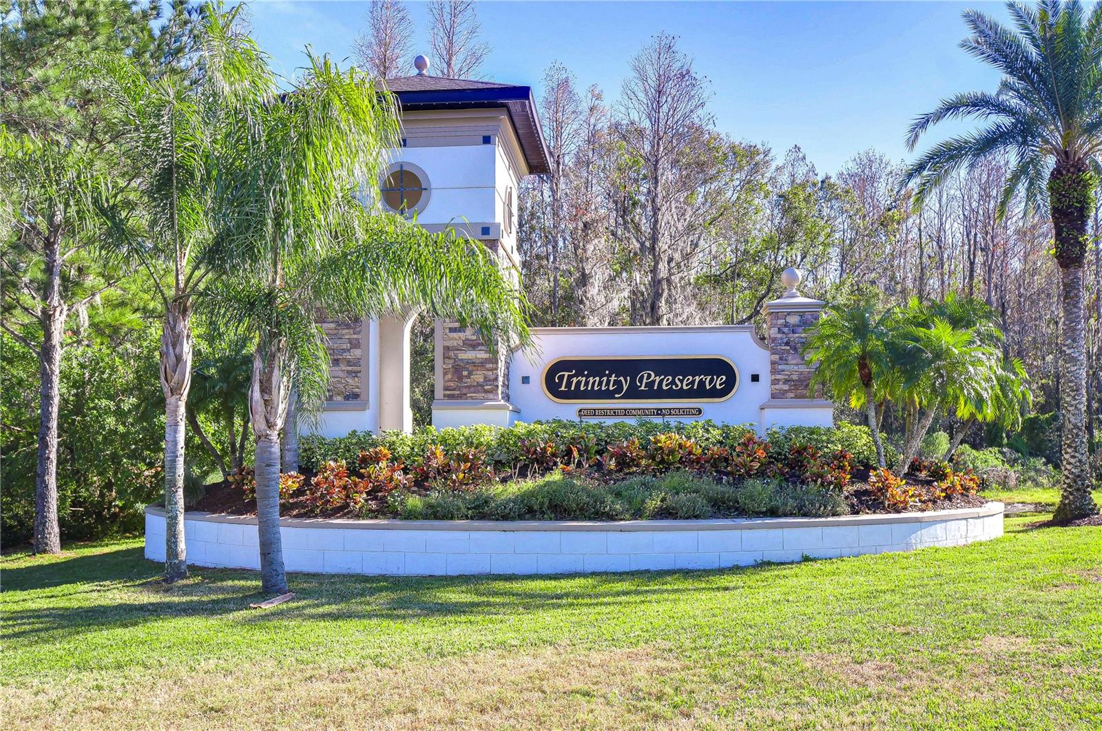 1005 KETZAL DR, TRINITY, FL, 34655
