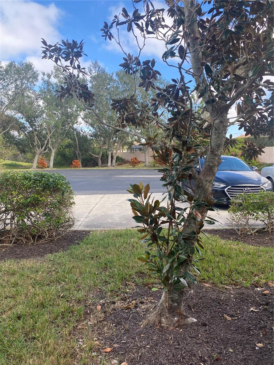 1007 GONDOLA PARK DR #1007, VENICE, FL, 34292