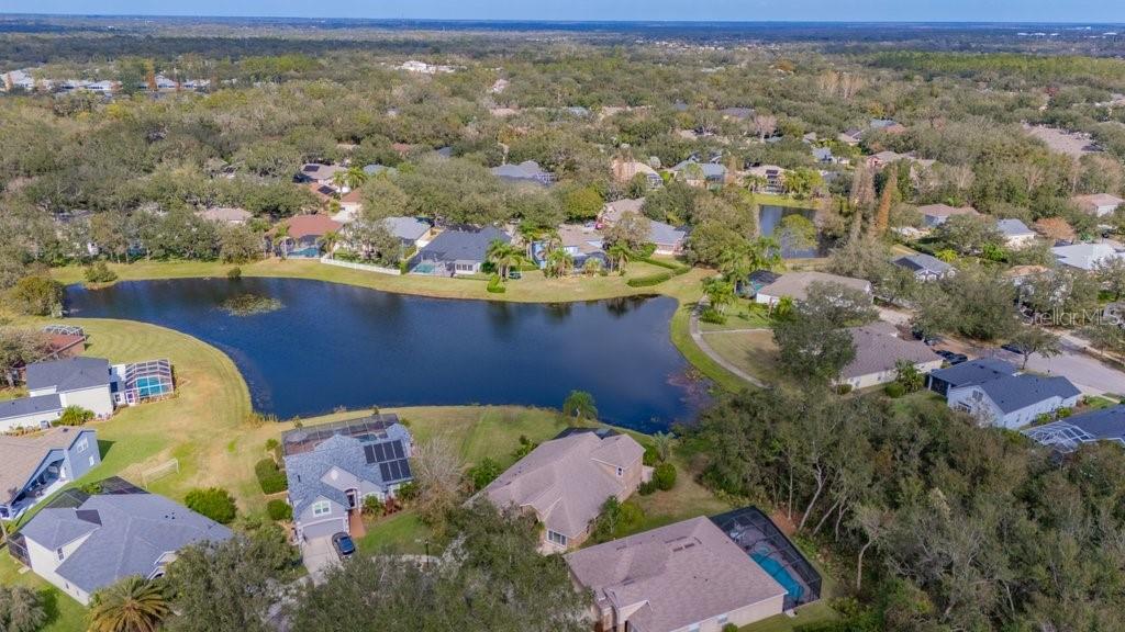 6002 SHEARWATER LN, LITHIA, FL, 33547