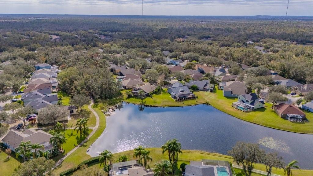 6002 SHEARWATER LN, LITHIA, FL, 33547