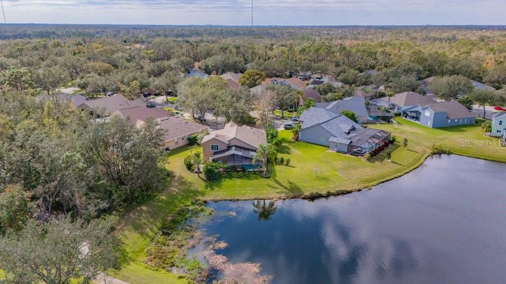 6002 SHEARWATER LN, LITHIA, FL, 33547