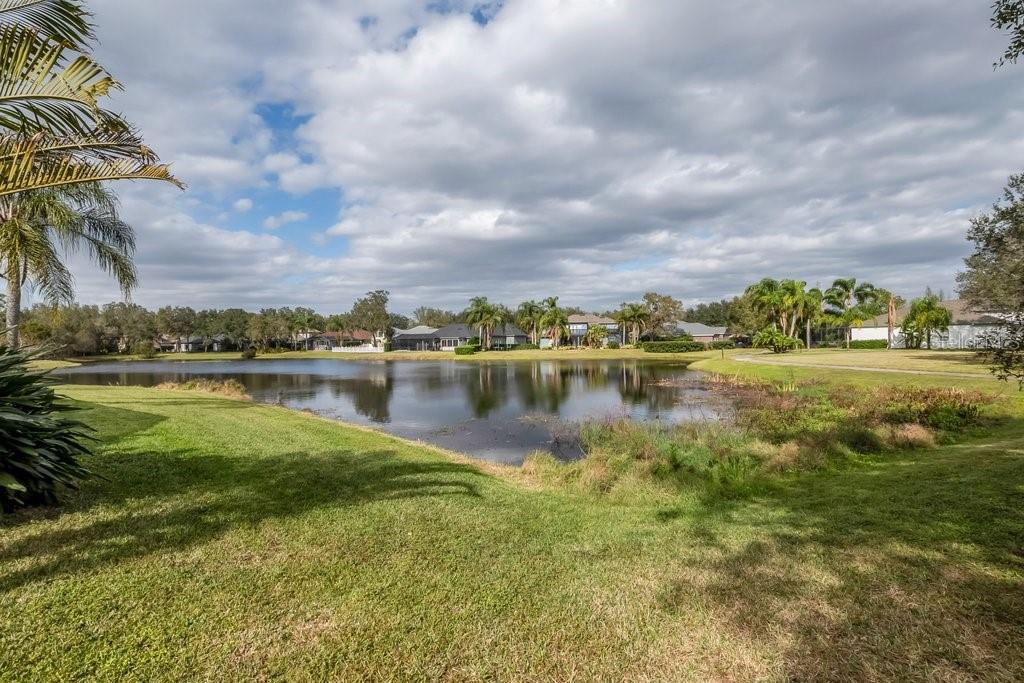6002 SHEARWATER LN, LITHIA, FL, 33547