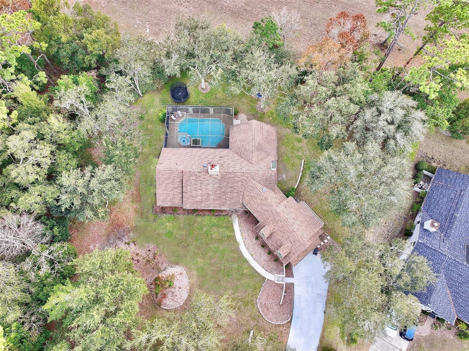 11 BYRSONIMA CT S, HOMOSASSA, FL, 34446
