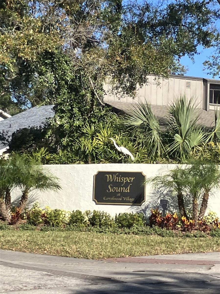 13015 WHISPER BAY PL, TAMPA, FL, 33618