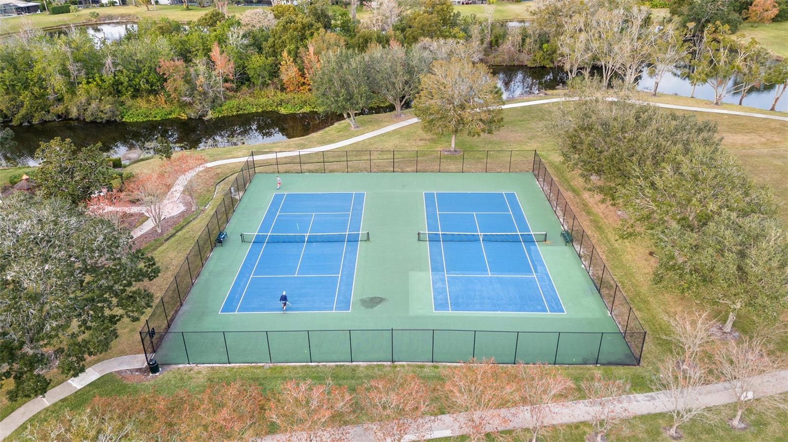 13015 WHISPER BAY PL, TAMPA, FL, 33618