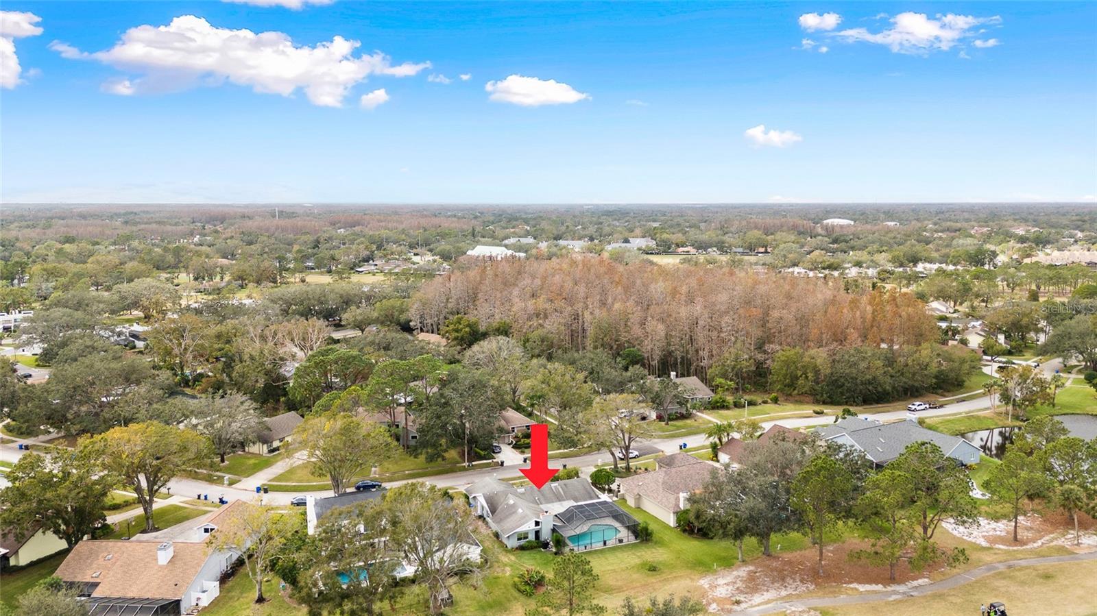 13015 WHISPER BAY PL, TAMPA, FL, 33618