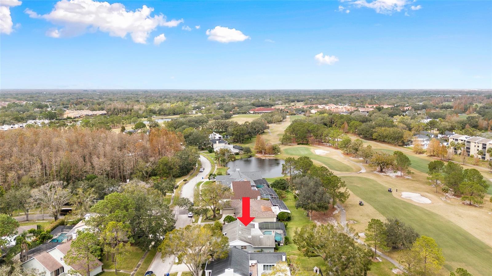 13015 WHISPER BAY PL, TAMPA, FL, 33618