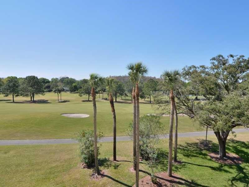 13015 WHISPER BAY PL, TAMPA, FL, 33618