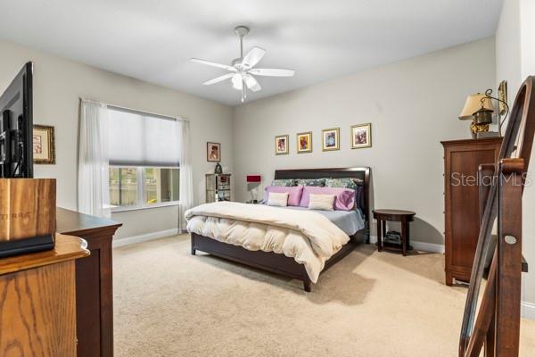 20944 AMANDA OAK CT, LAND O LAKES, FL, 34638